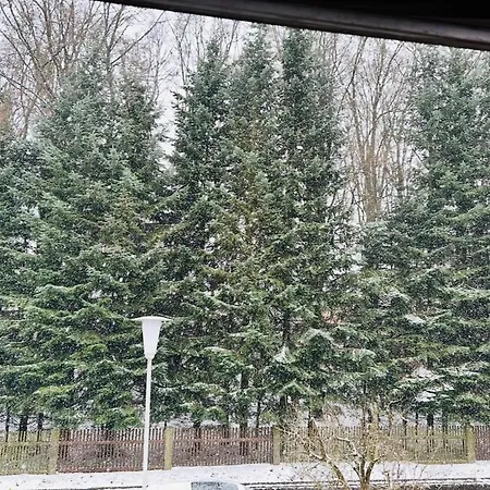 Fichtenblick *